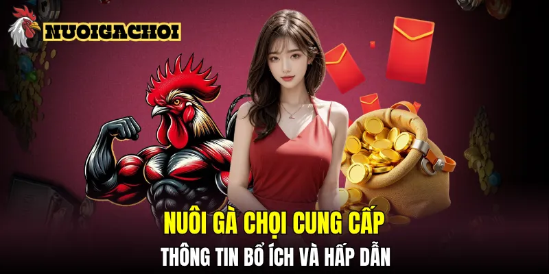 Nuôi Gà Chọi cung cấp nhiều thông tin bổ ích và hấp dẫn