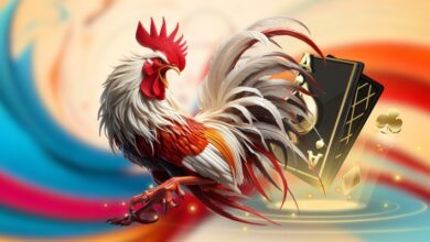 Thức ăn gà đá và vai trò quan trọng trong chăm sóc chiến kê
