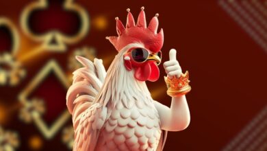 Quy trình thực hiện om gà chọi đúng cách