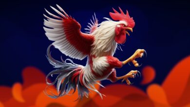 Nguyên nhân khiến Gà bị khò khè sau vận động