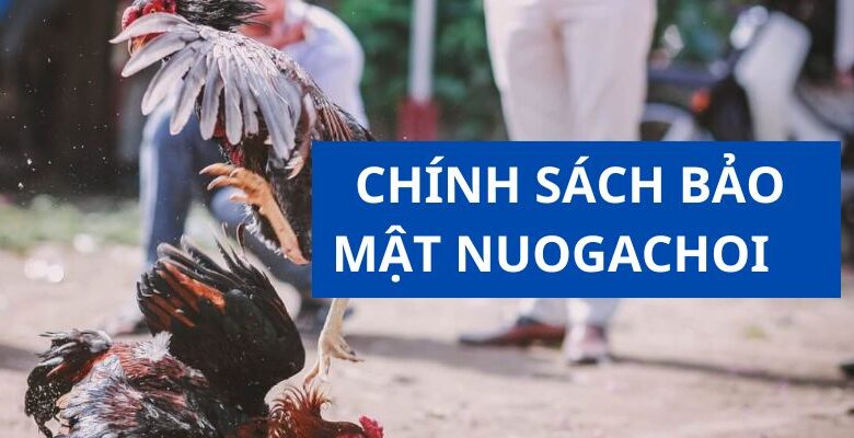 chinh-sach-bao-mat-nuoigachoi