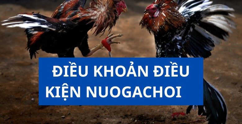 dieu-khoan-dieu-kien