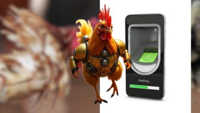 Gà chọi Thái Lan và kỹ thuật huấn luyện chuyên sâu hiện đại