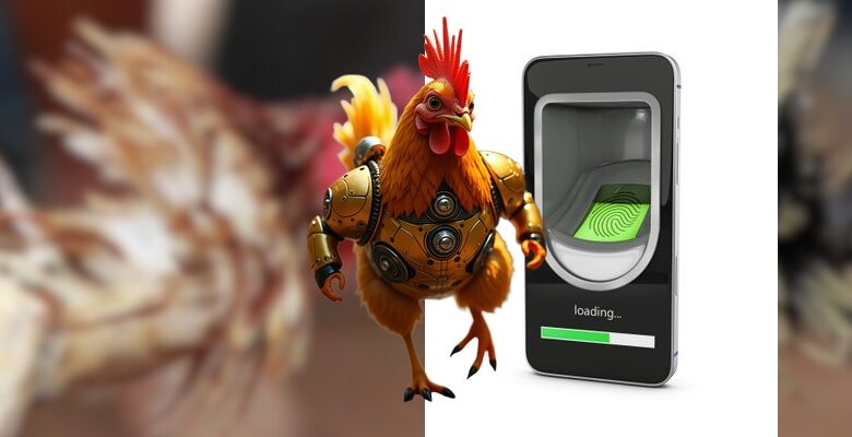 Gà chọi Thái Lan và kỹ thuật huấn luyện chuyên sâu hiện đại