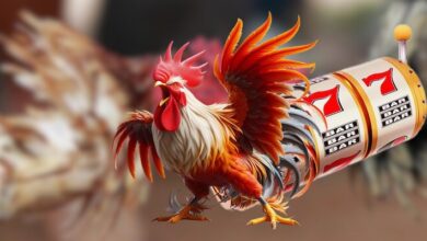 Đá Gà Cựa Sắt