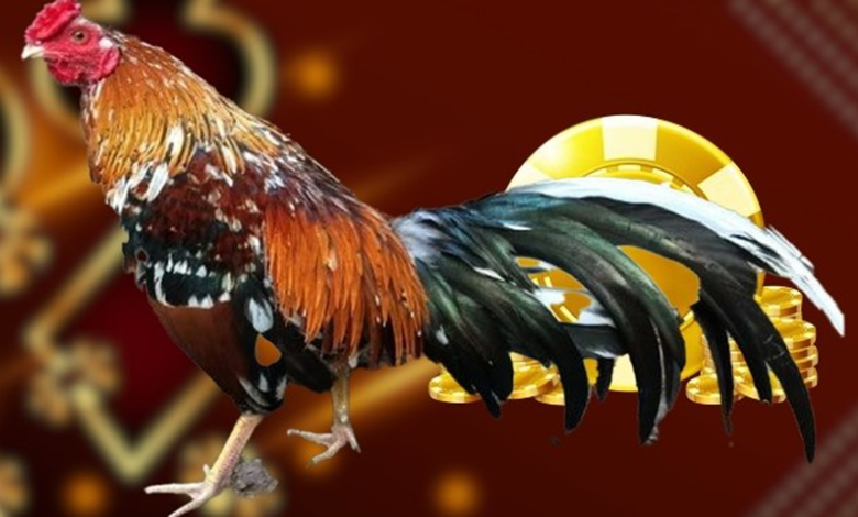 Trực tiếp Thomo